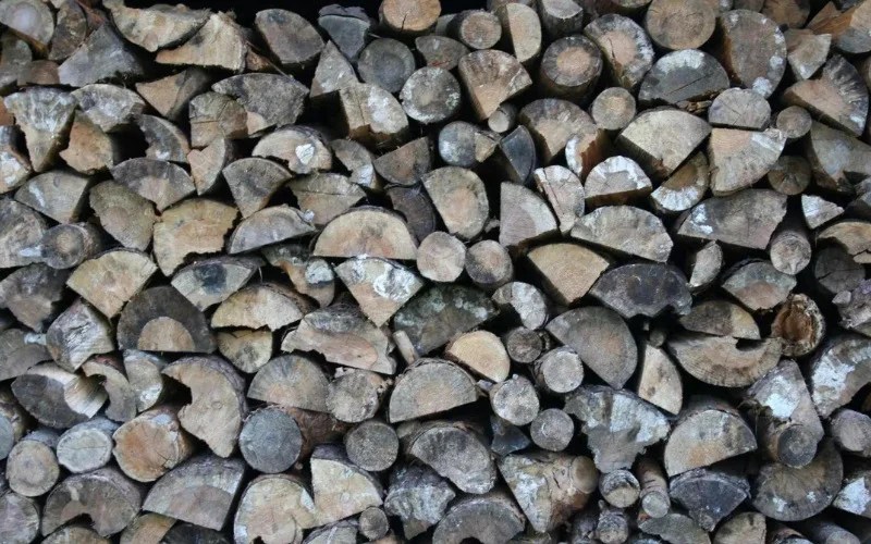 Seasoned vs Kiln Dried Wood Is kiln Dried Wood Better Than Seasoned? Backyard Caring