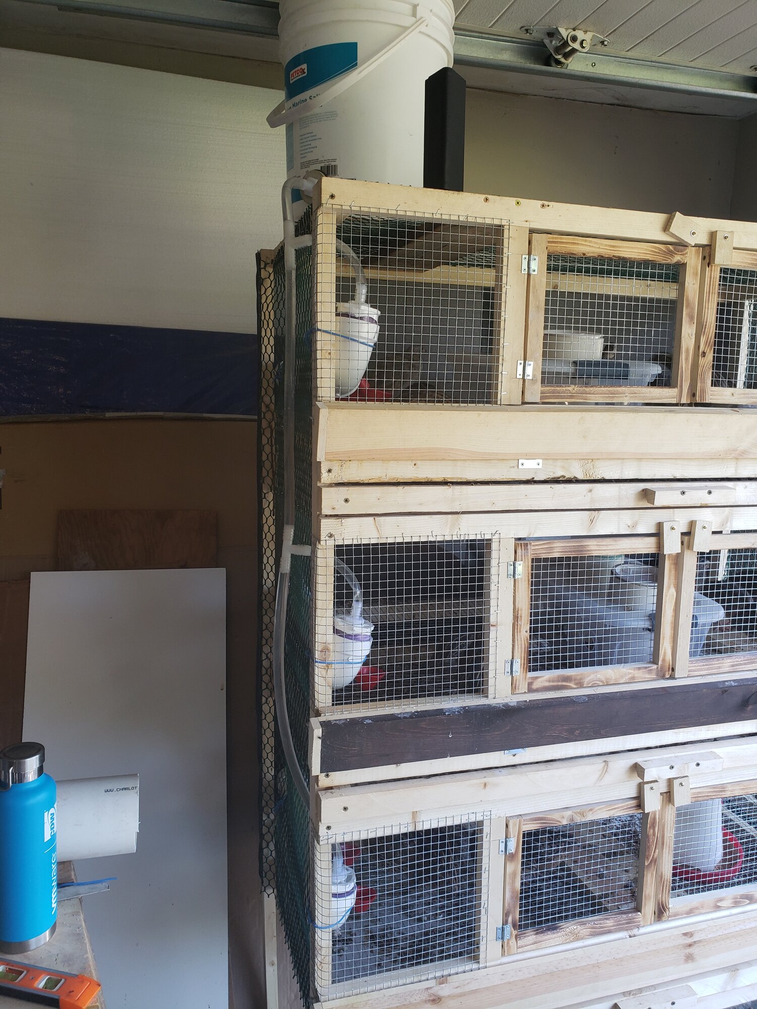 3Tier Quail Cage BackYard Chickens Learn How to Raise Chickens