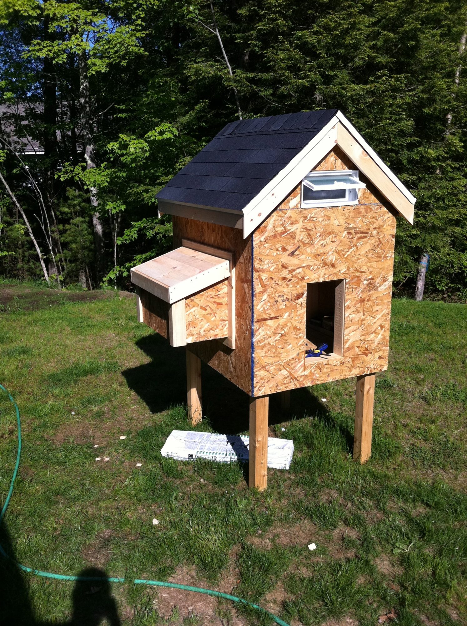Cam's Coop BackYard Chickens Learn How to Raise Chickens