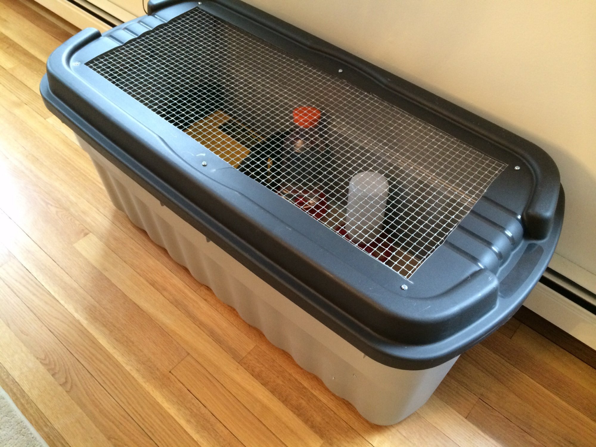 Catproof brooder BackYard Chickens Learn How to Raise Chickens