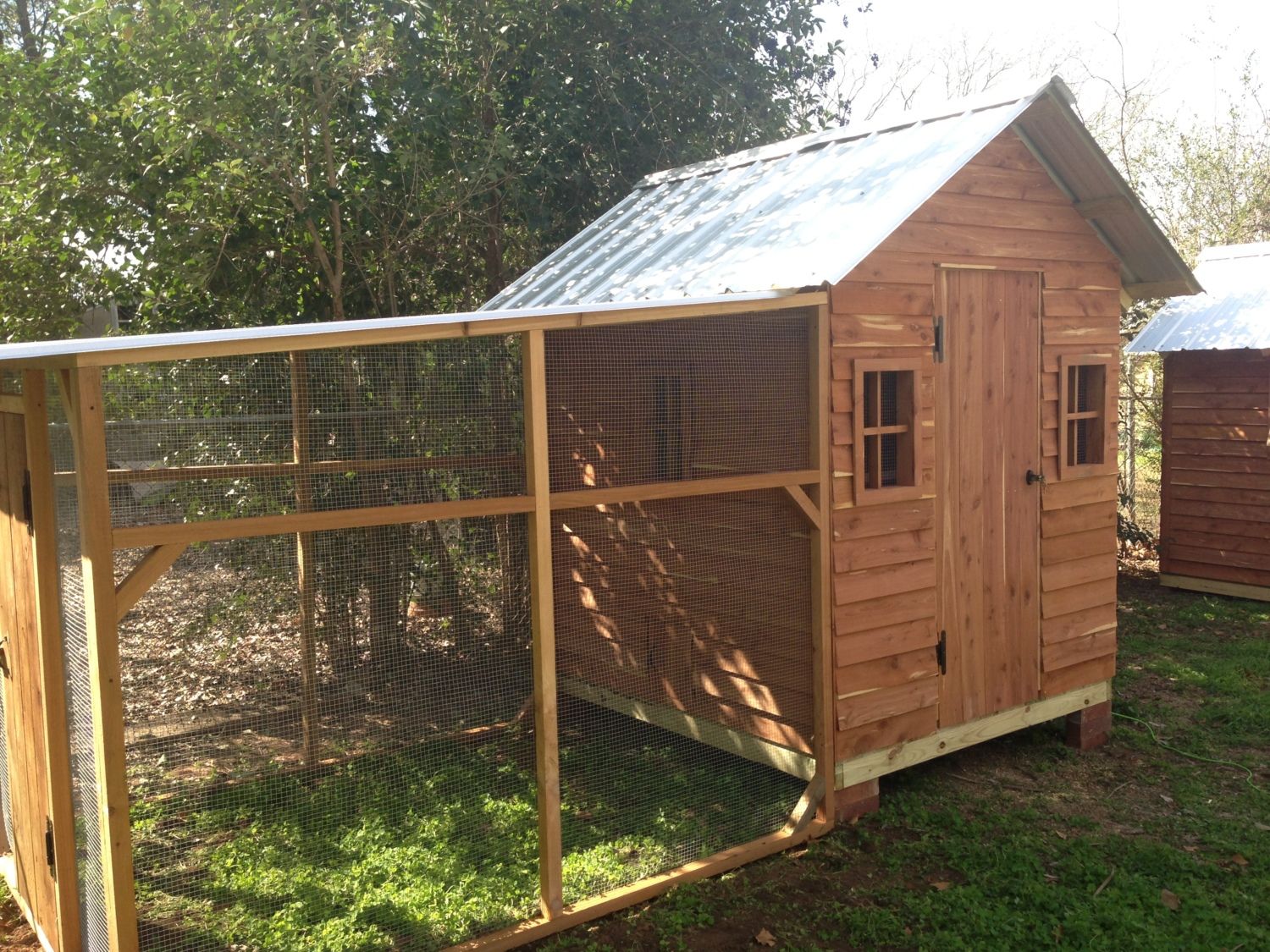 Cedar Palace BackYard Chickens Learn How to Raise Chickens