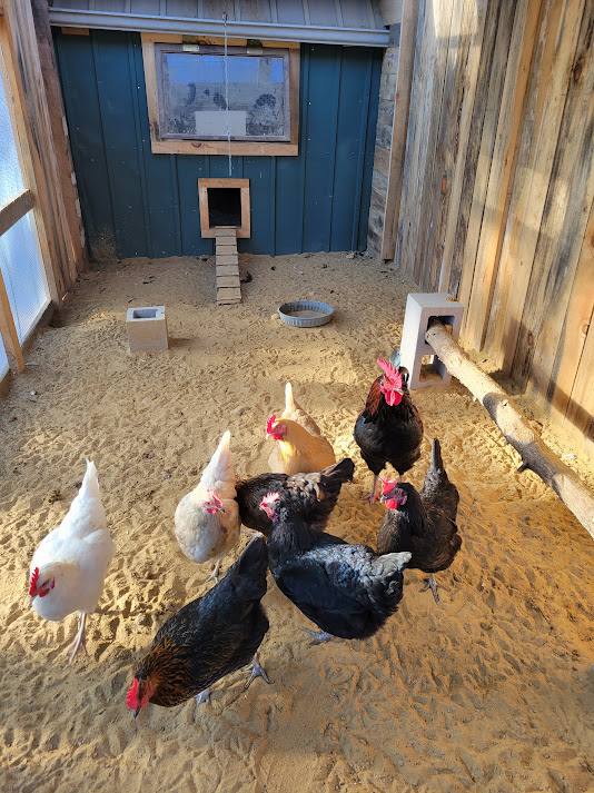 Chicken Run Build and Shed conversion25 + pages cement block is for