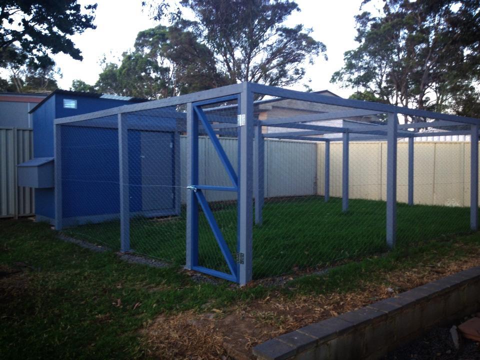 Coop DeVille BackYard Chickens Learn How to Raise Chickens