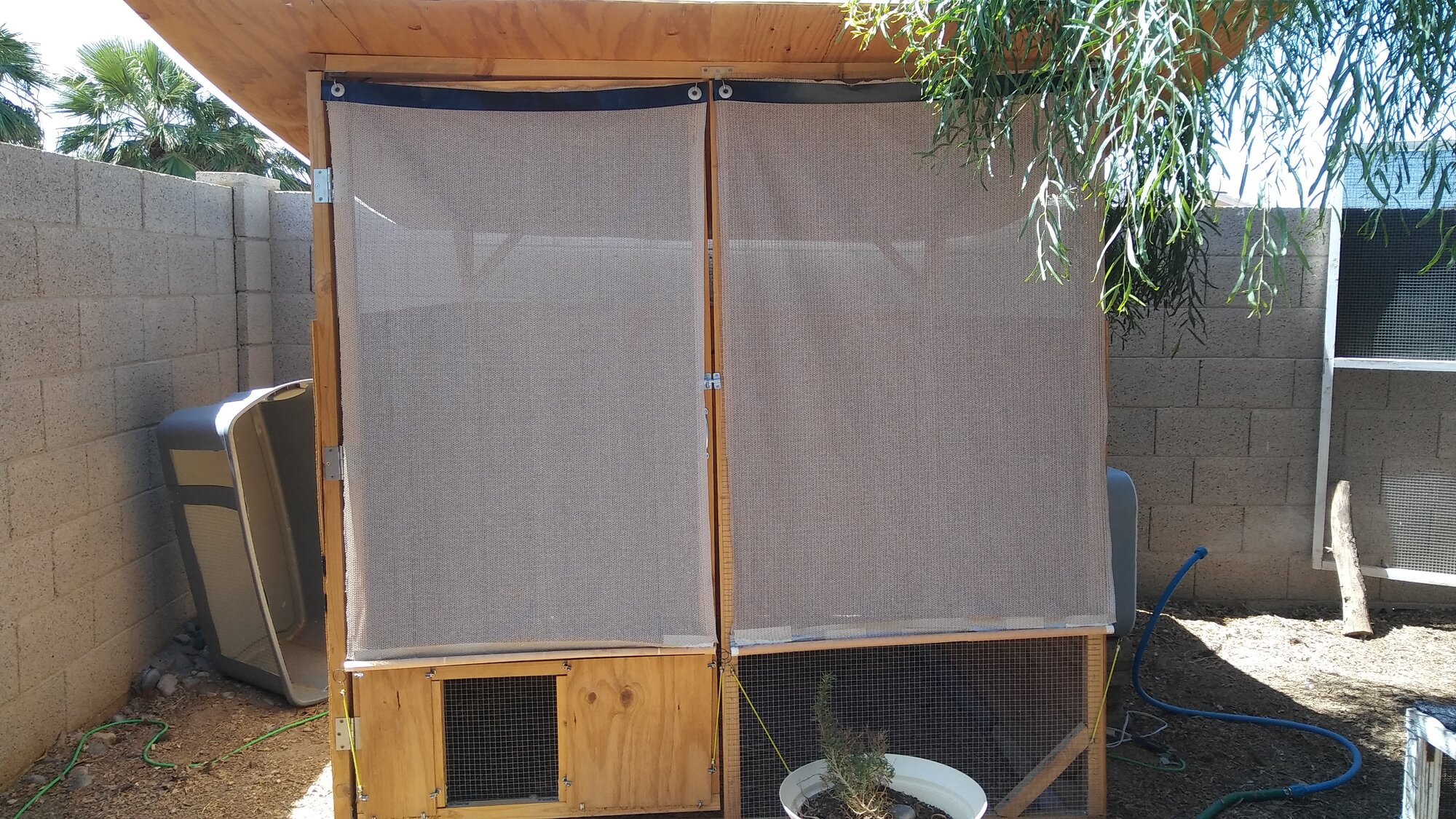 Custom Shade Screens BackYard Chickens Learn How to Raise Chickens