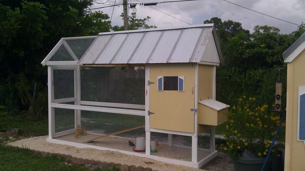 Key West Coop Deville BackYard Chickens Learn How to Raise Chickens