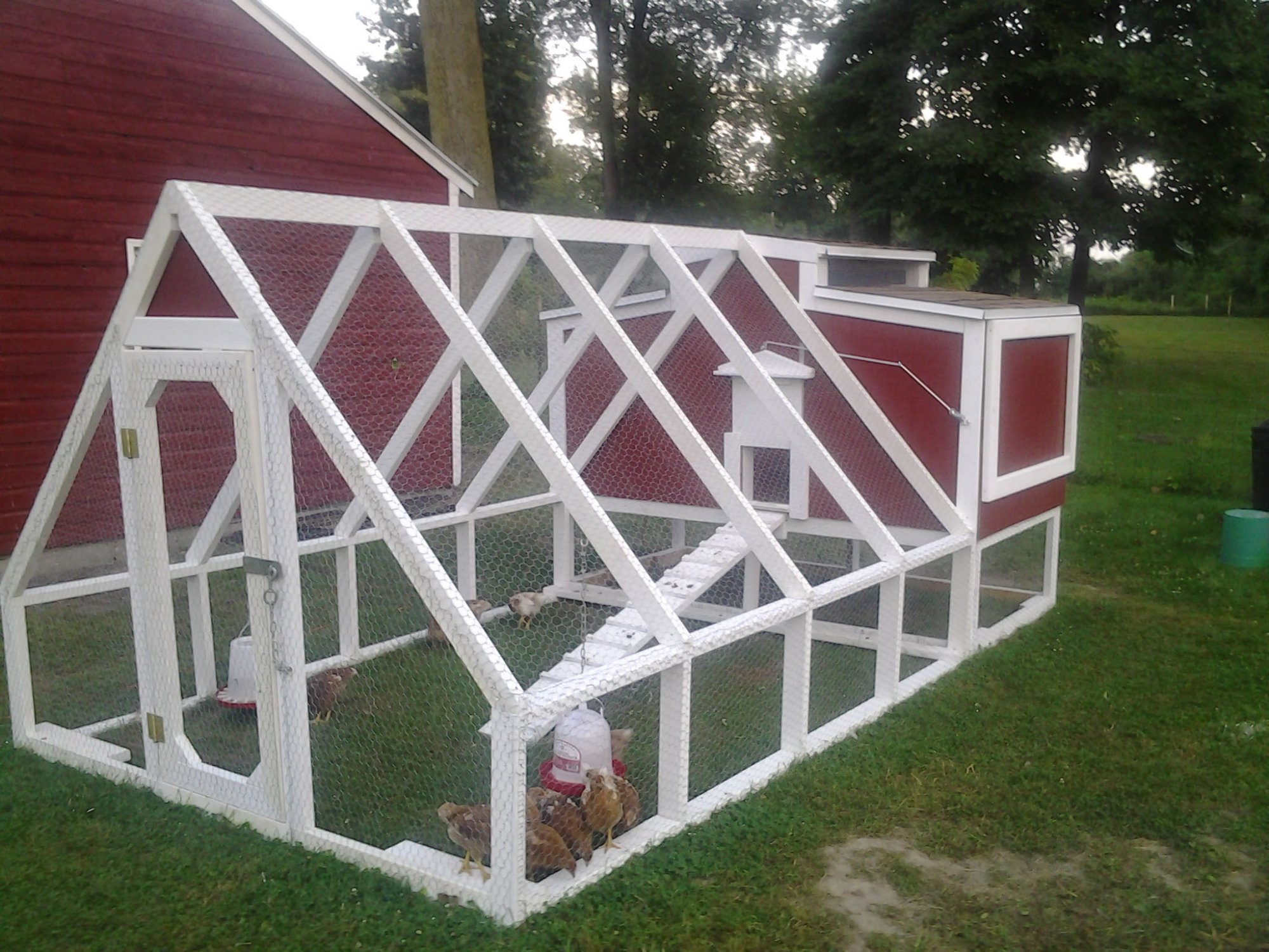 Mini Chicken Barn BackYard Chickens Learn How to Raise Chickens