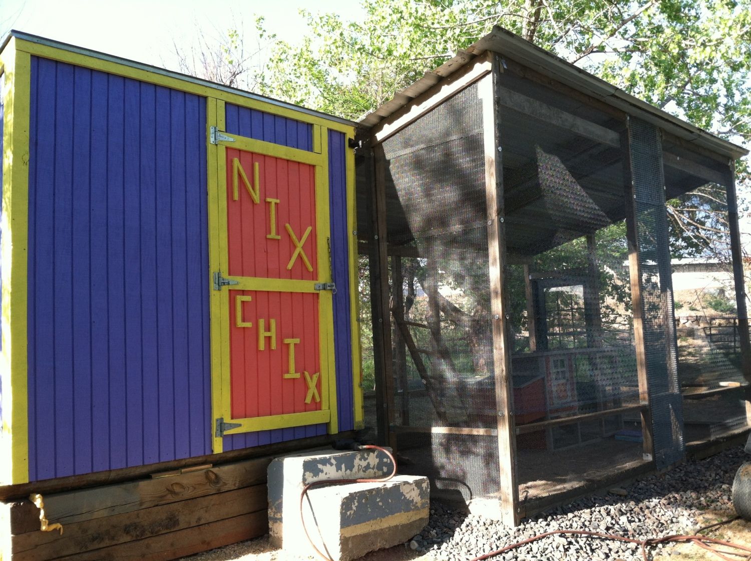 Mouse Proof Coop and Run BackYard Chickens Learn How to Raise Chickens