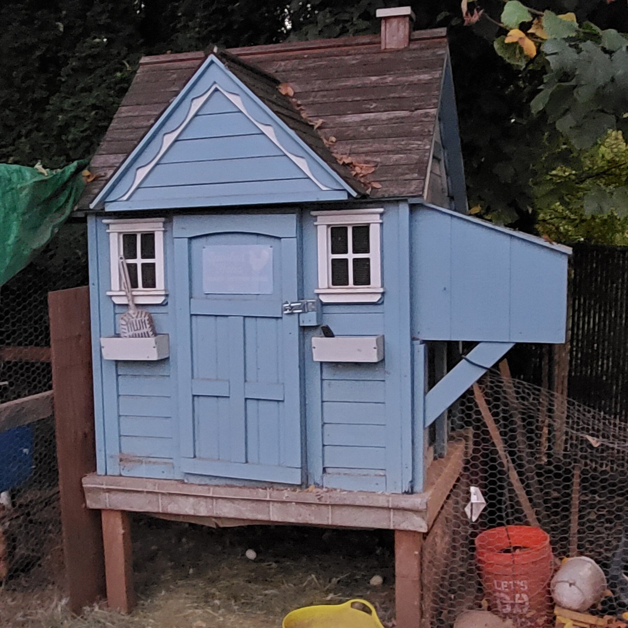 My coop BackYard Chickens Learn How to Raise Chickens