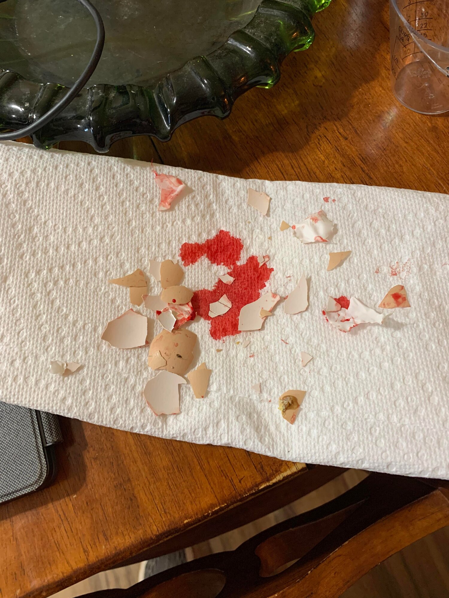 Nature Right 360 100 Hatch Rate Even with an Assisted Hatch