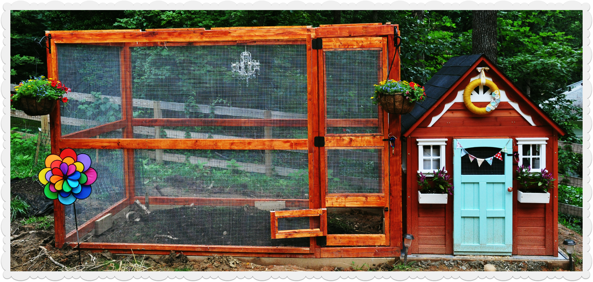 Our Chicken Cottage BackYard Chickens Learn How to Raise Chickens