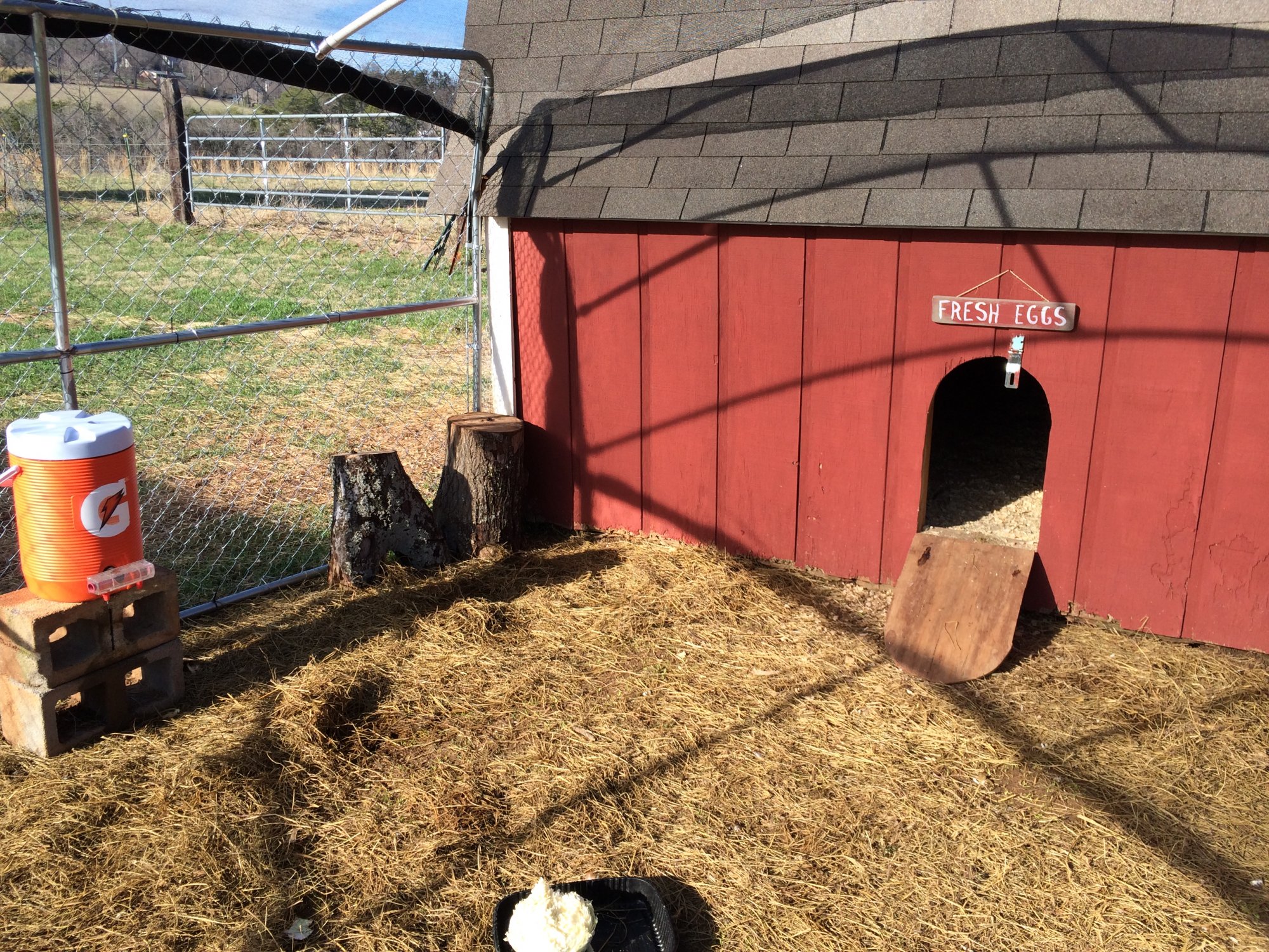 Our TN coop! BackYard Chickens Learn How to Raise Chickens