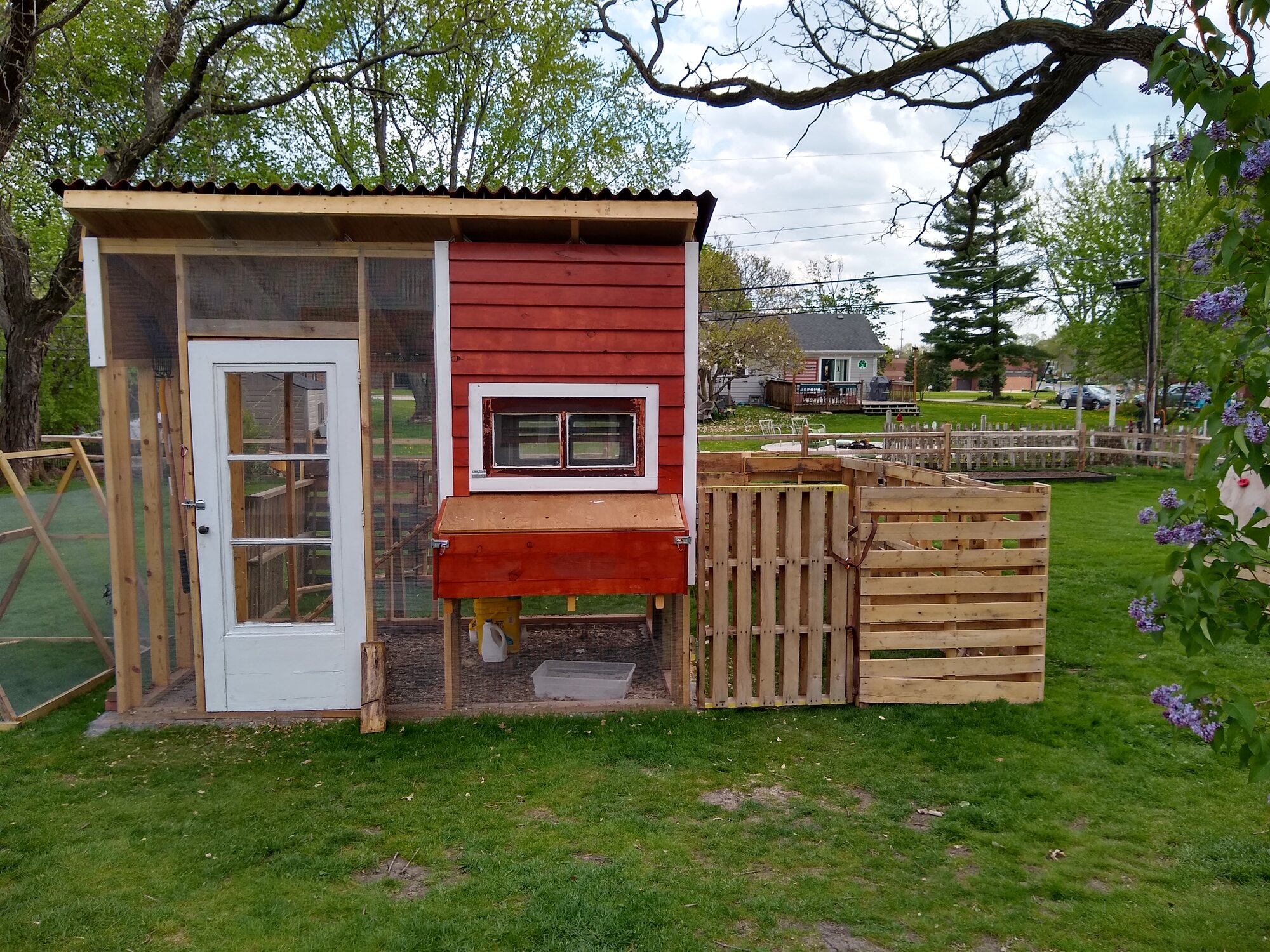 Pallet run BackYard Chickens Learn How to Raise Chickens