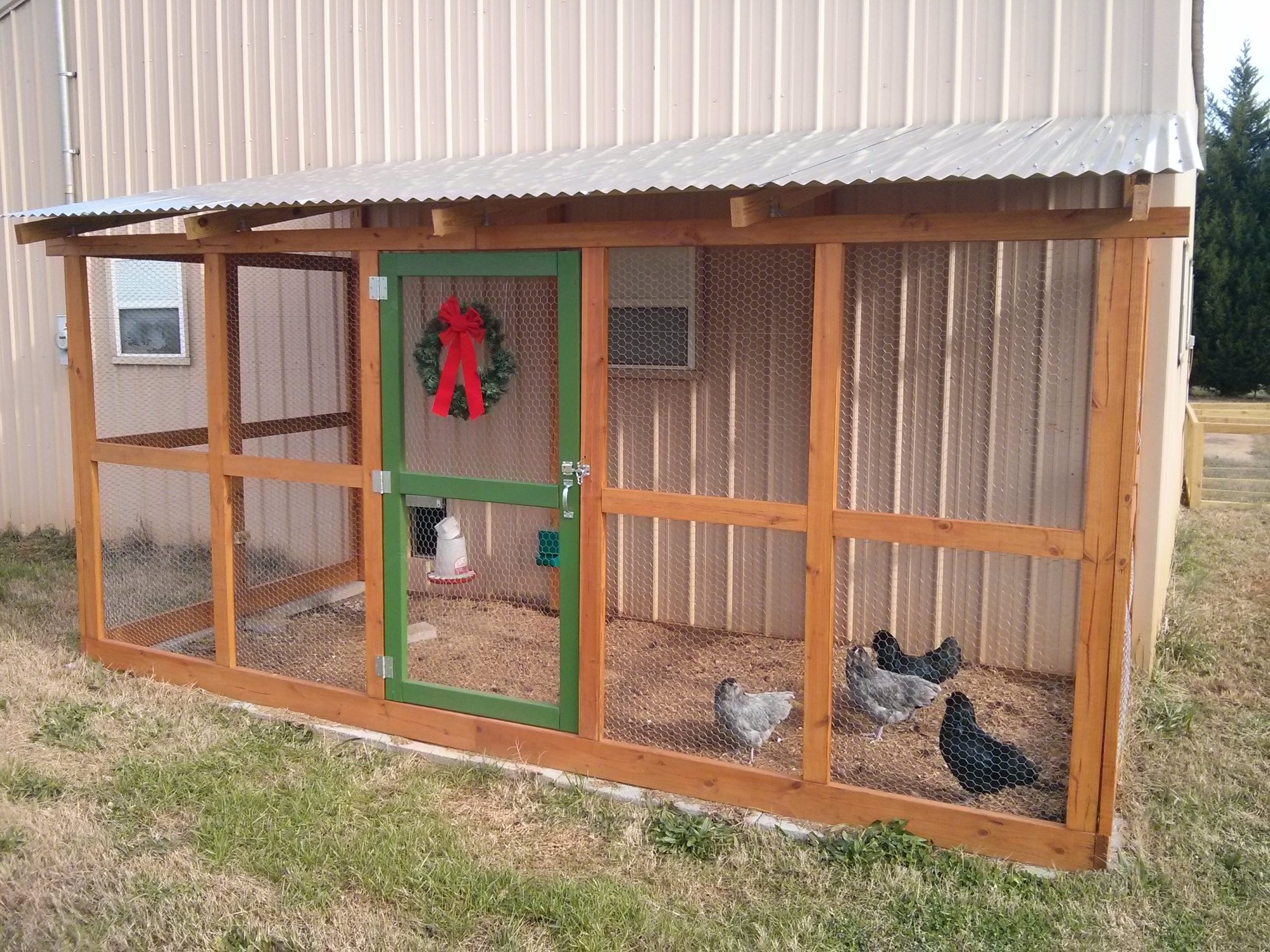 Pole Barn Coop (Part Two The Run) BackYard Chickens Learn How to