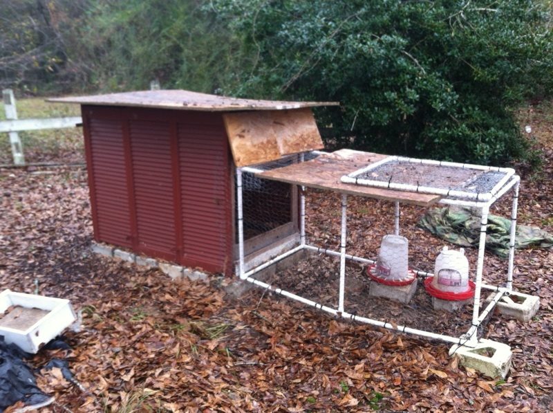 Recycled Shutter Coop BackYard Chickens Learn How to Raise Chickens