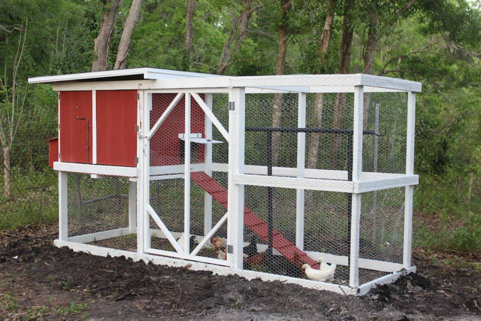 Simple, costeffective coop/run combination BackYard Chickens Learn