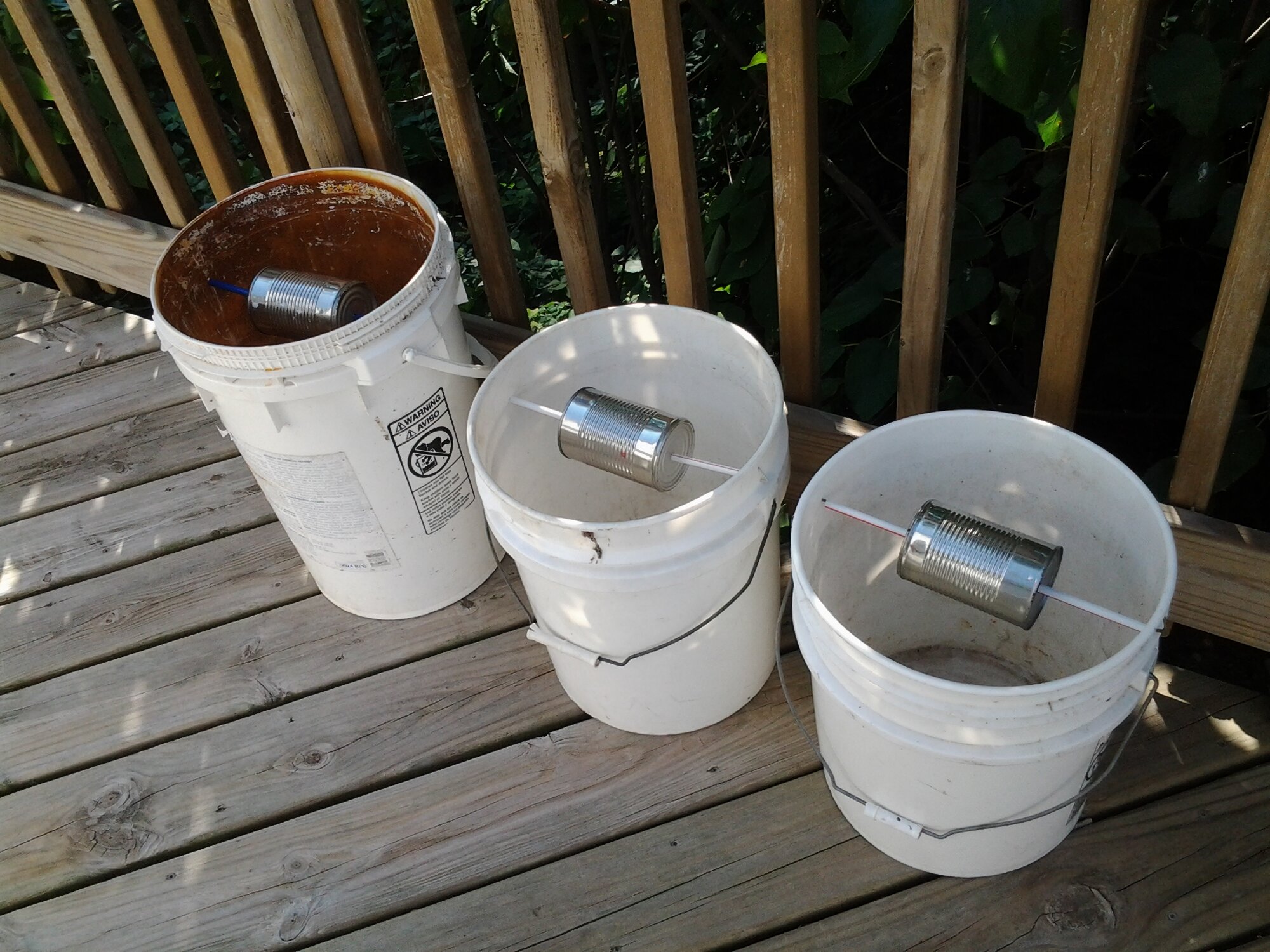 The Bucket Trap Way To Mouse Control BackYard Chickens Learn How to
