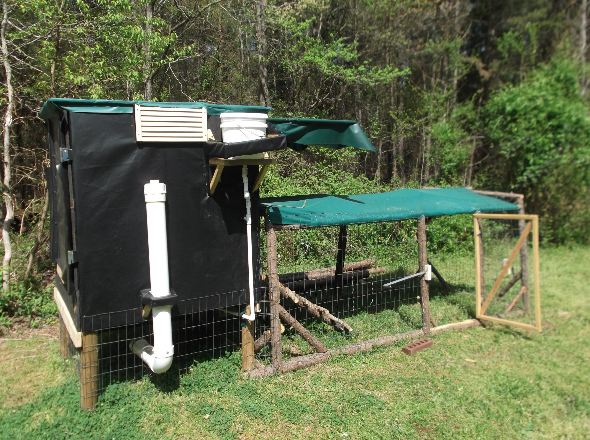 The Coop Deville BackYard Chickens Learn How to Raise Chickens