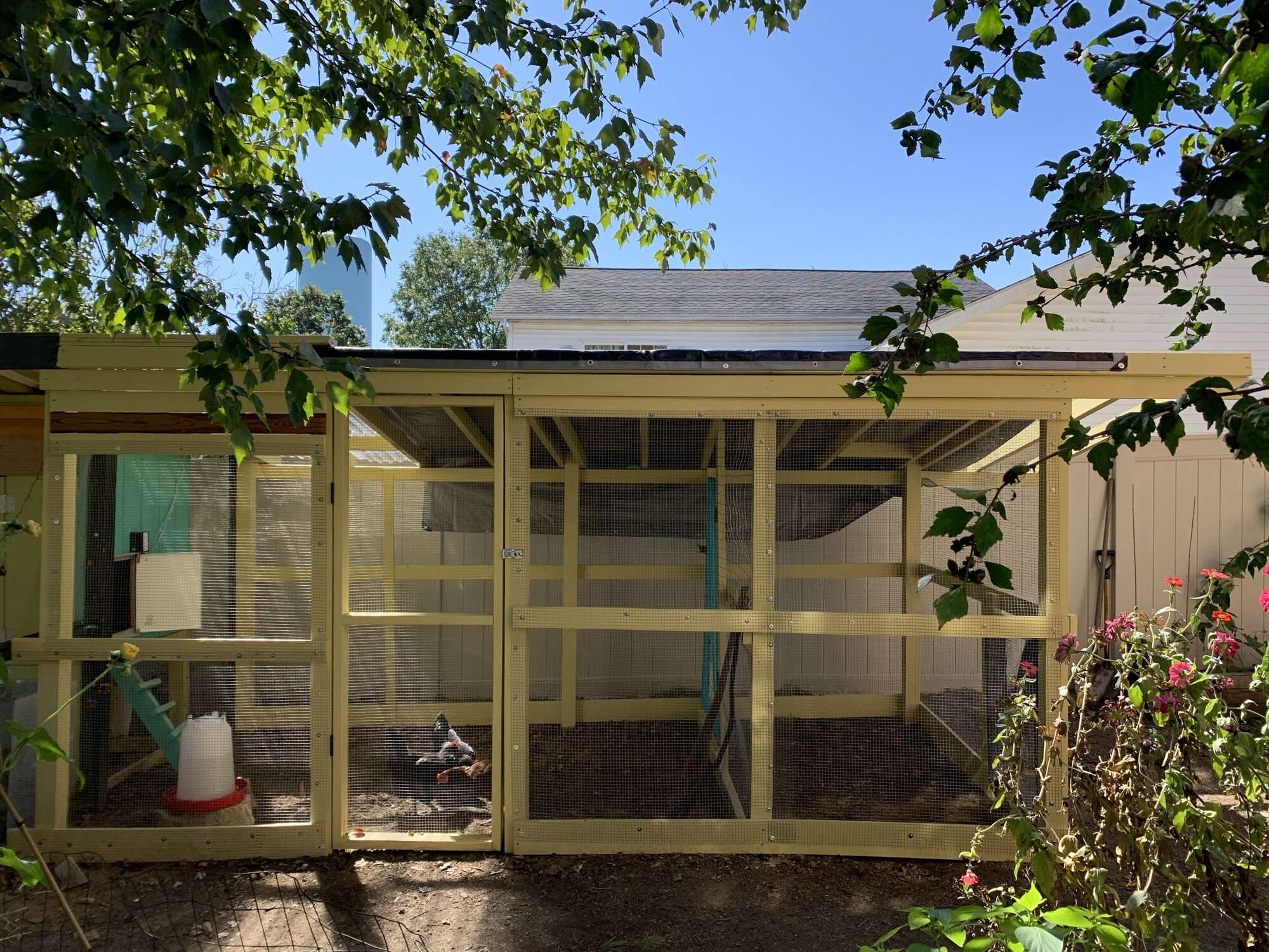 The Making of a WalkIn Chicken Run BackYard Chickens Learn How to