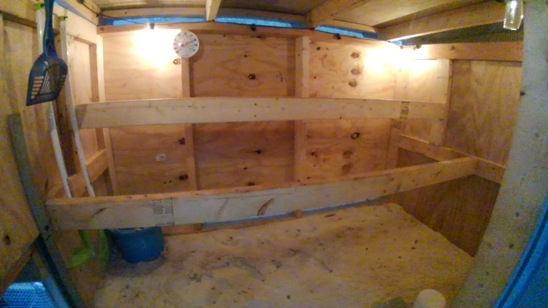 The perch experiment BackYard Chickens Learn How to Raise Chickens