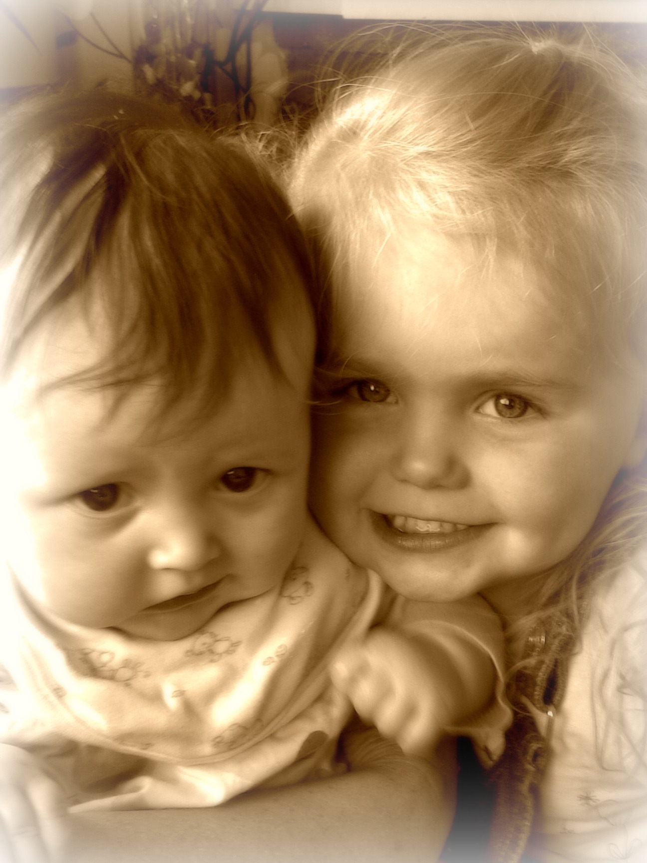 BackYard Chickens Learn How to Raise Chickens