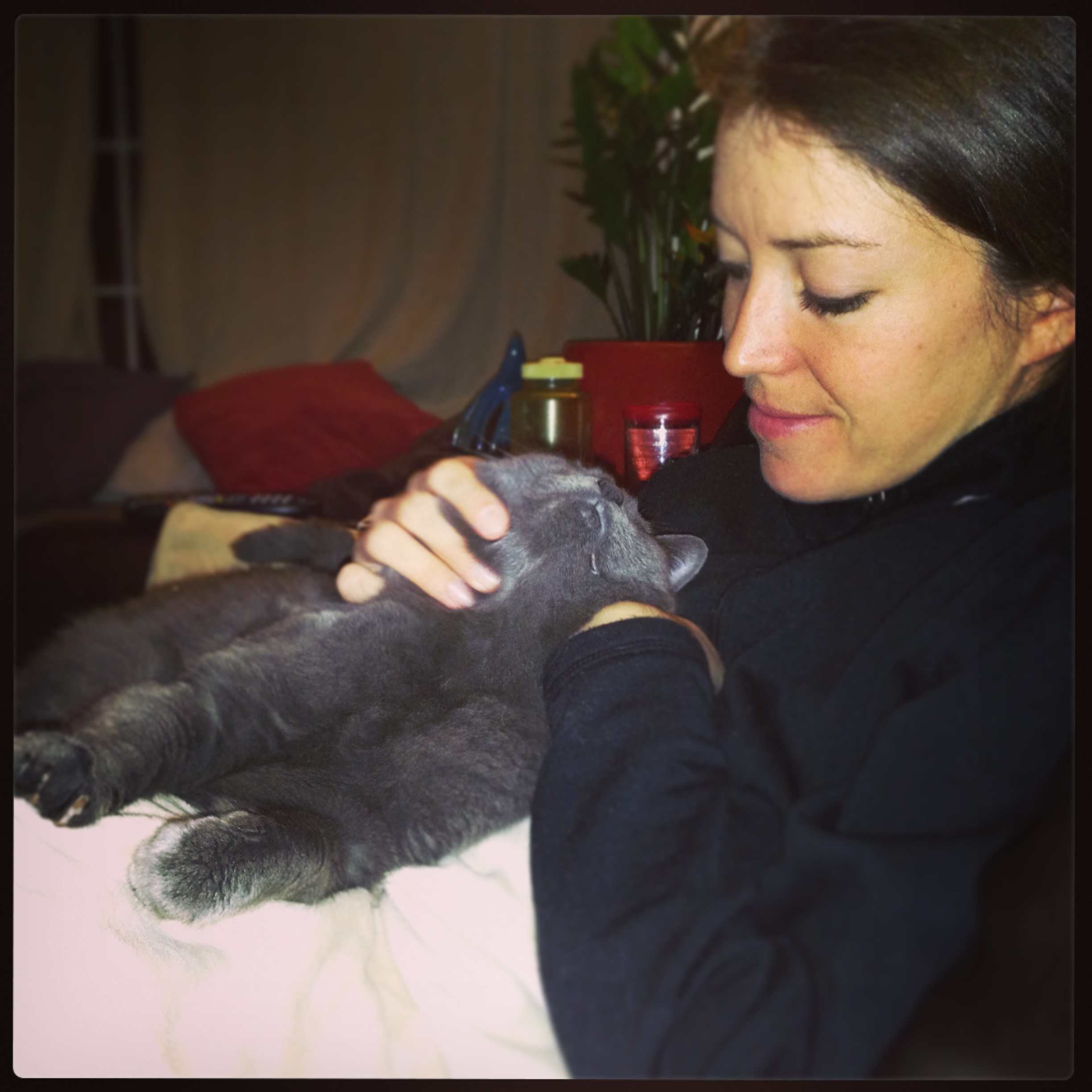 BackYard Chickens Learn How to Raise Chickens