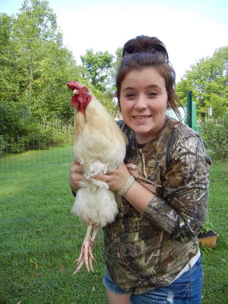 BackYard Chickens Learn How to Raise Chickens