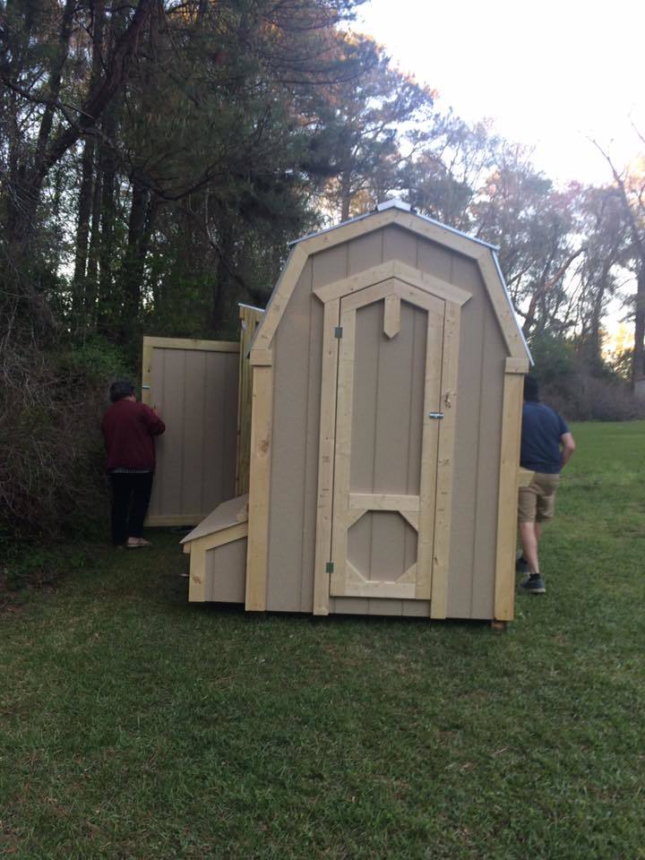BackYard Chickens Learn How to Raise Chickens