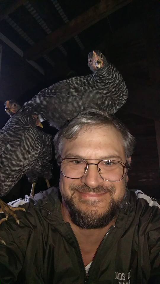 BackYard Chickens Learn How to Raise Chickens