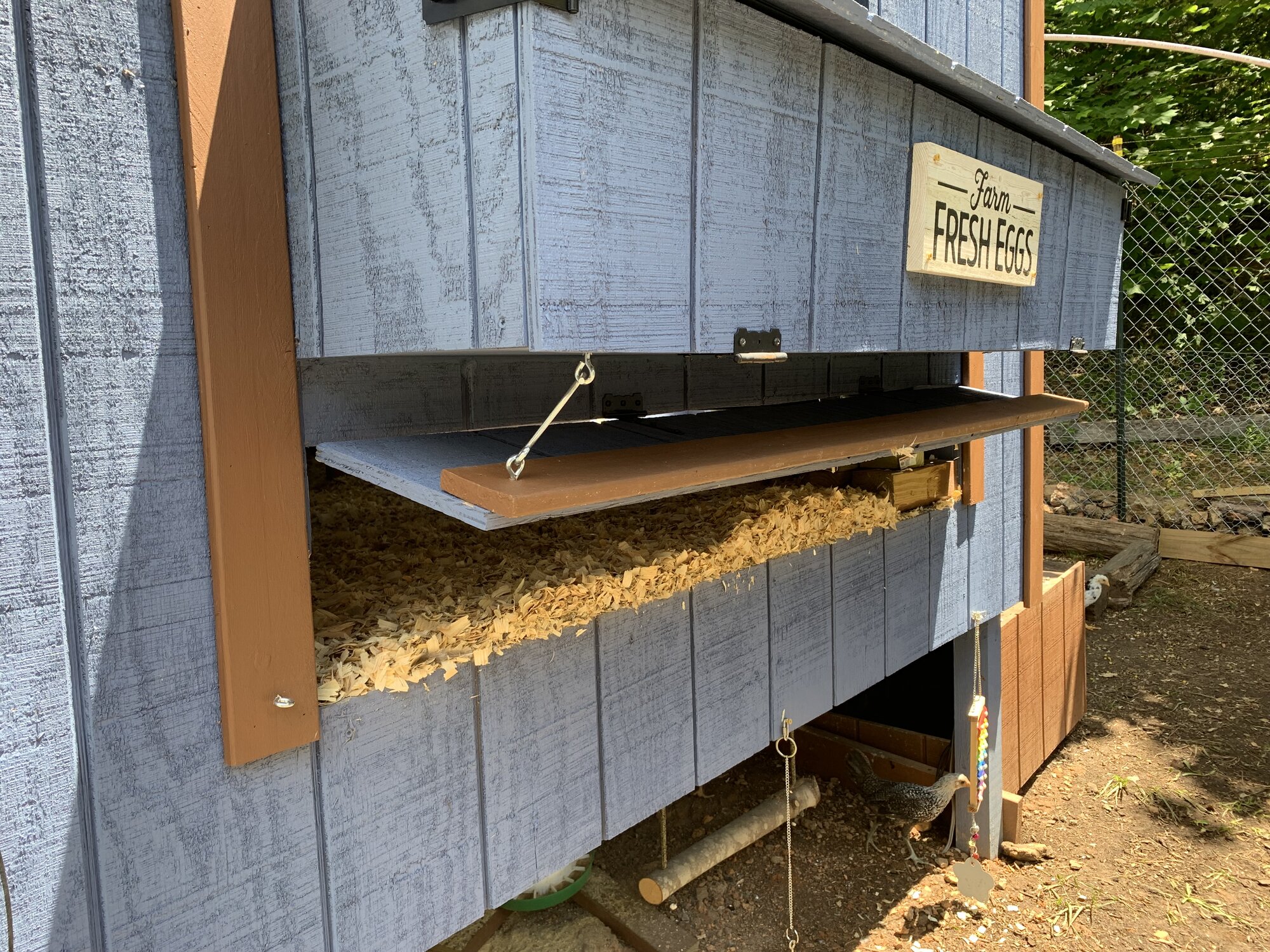 Cleanout door BackYard Chickens Learn How to Raise Chickens