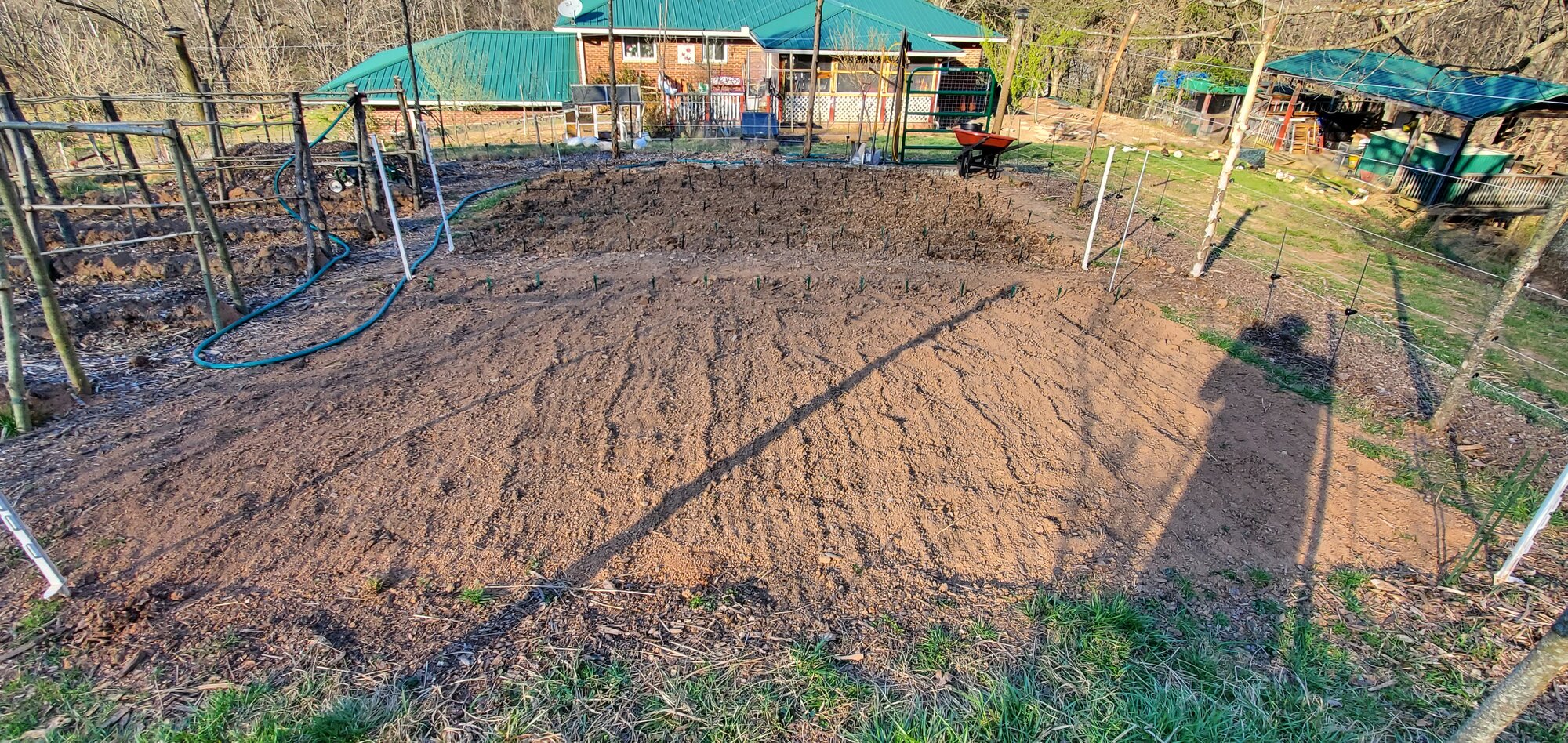 Potato patch BackYard Chickens Learn How to Raise Chickens