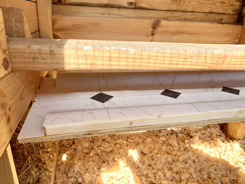 How To Collect Chicken Manure BackyardChickensHQ