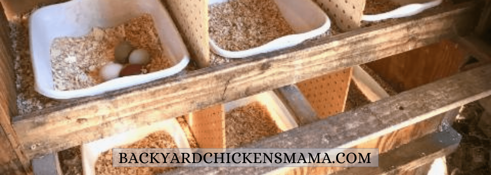 Simple Guide to Setting Up the Best Hen Nesting Boxes