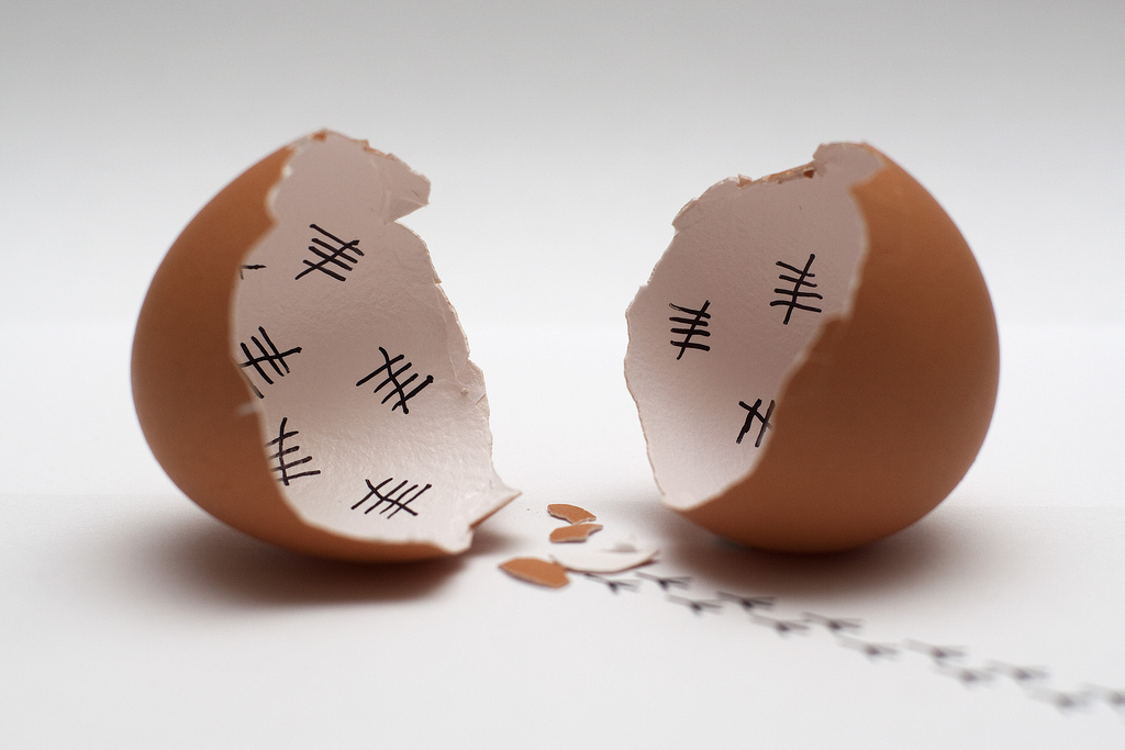 Hatching Chicken Eggs Backyard Chicken Zone