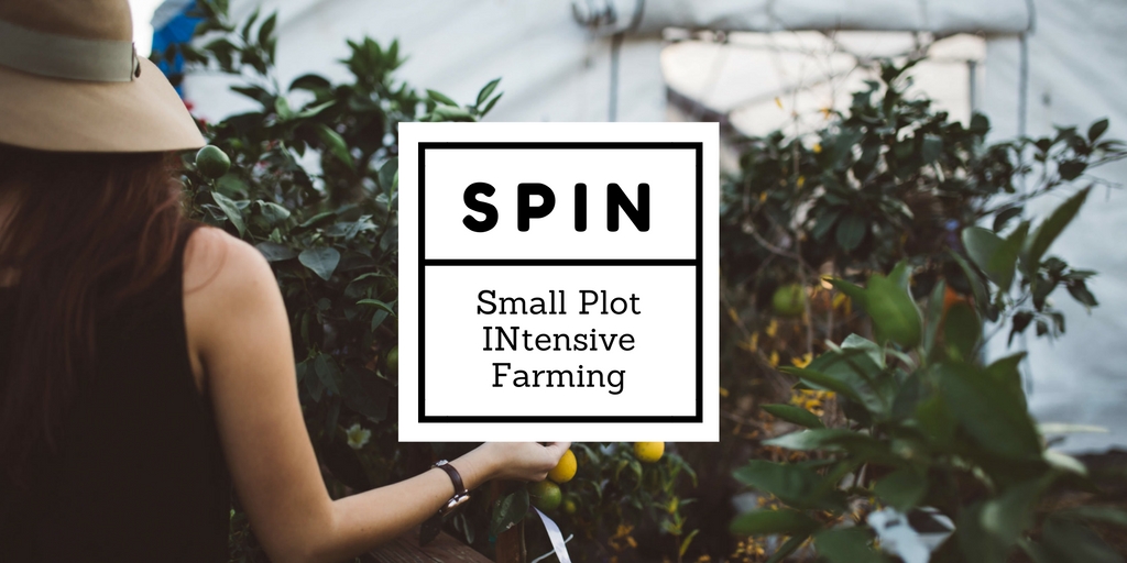 Small Plot INtensive (SPIN) Urban Farming System Backyard Chicken Zone