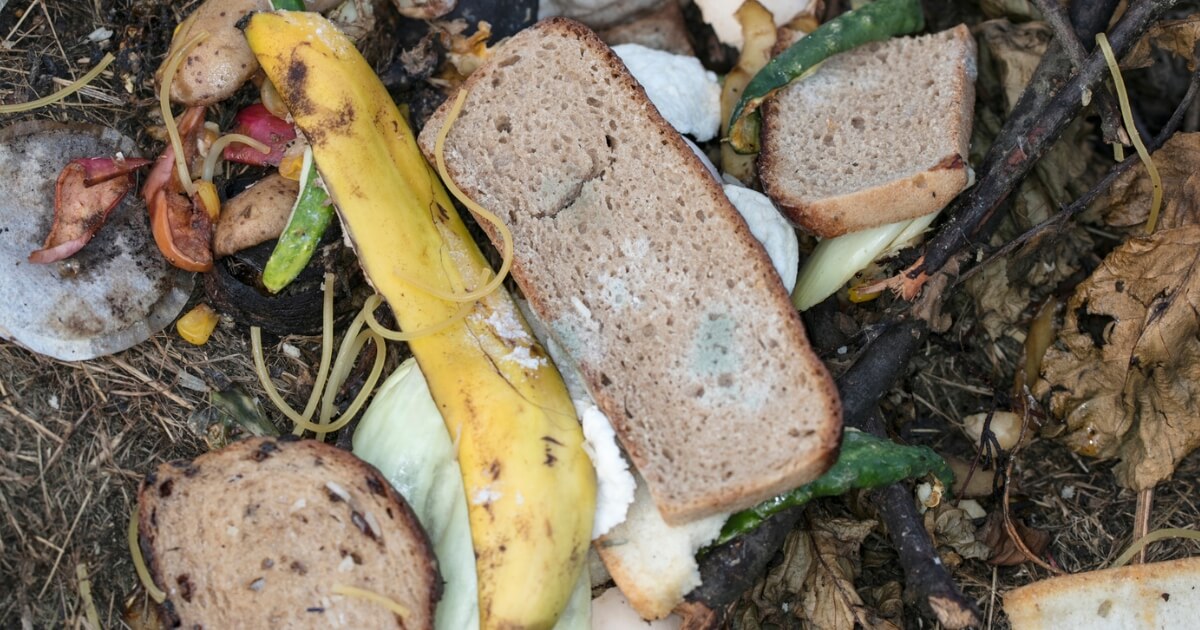 Get The Best Gardening, Landscaping & Lawn Care Tips BackyardDigs