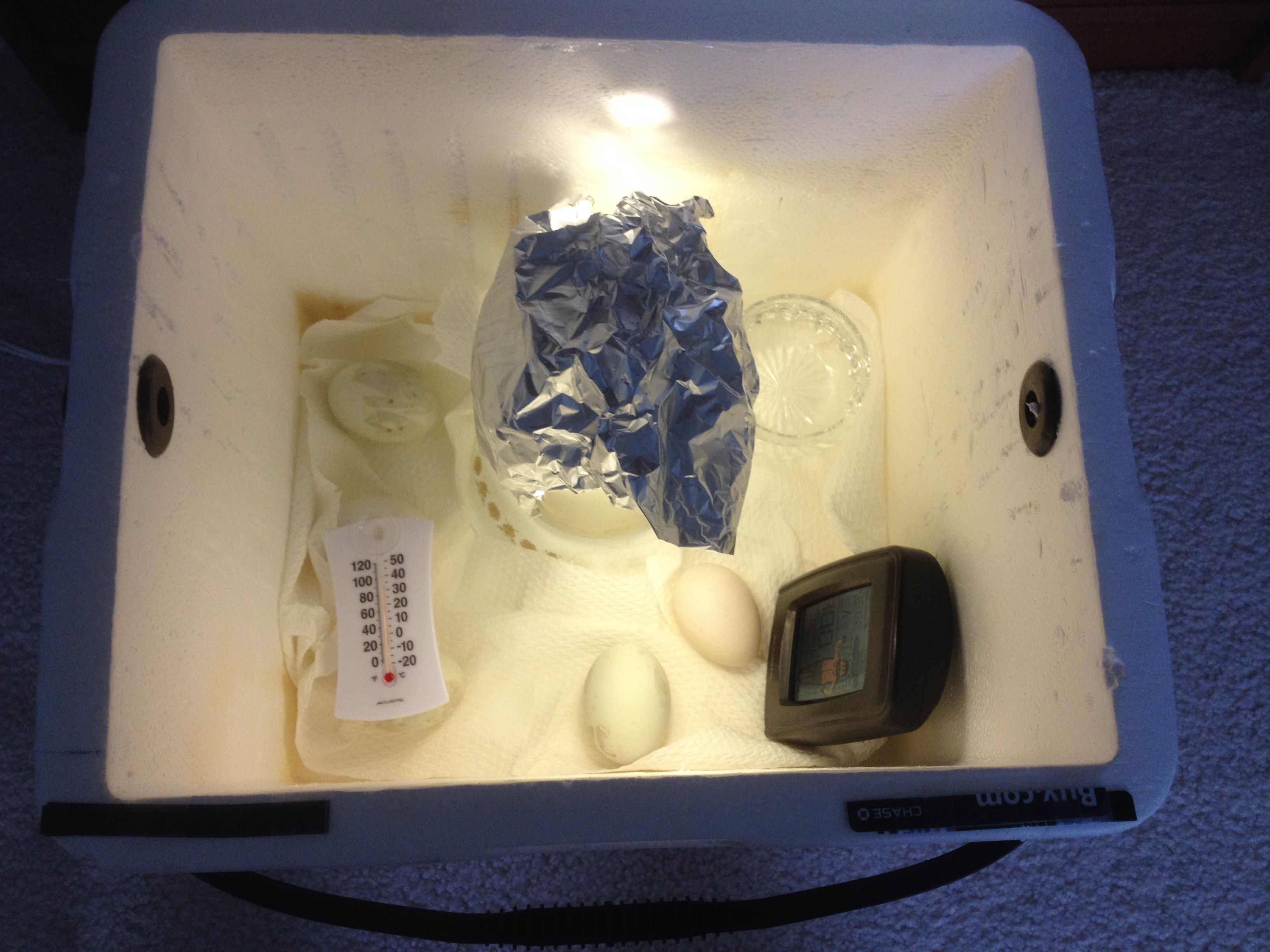 The homemade incubator Backyard Ducks