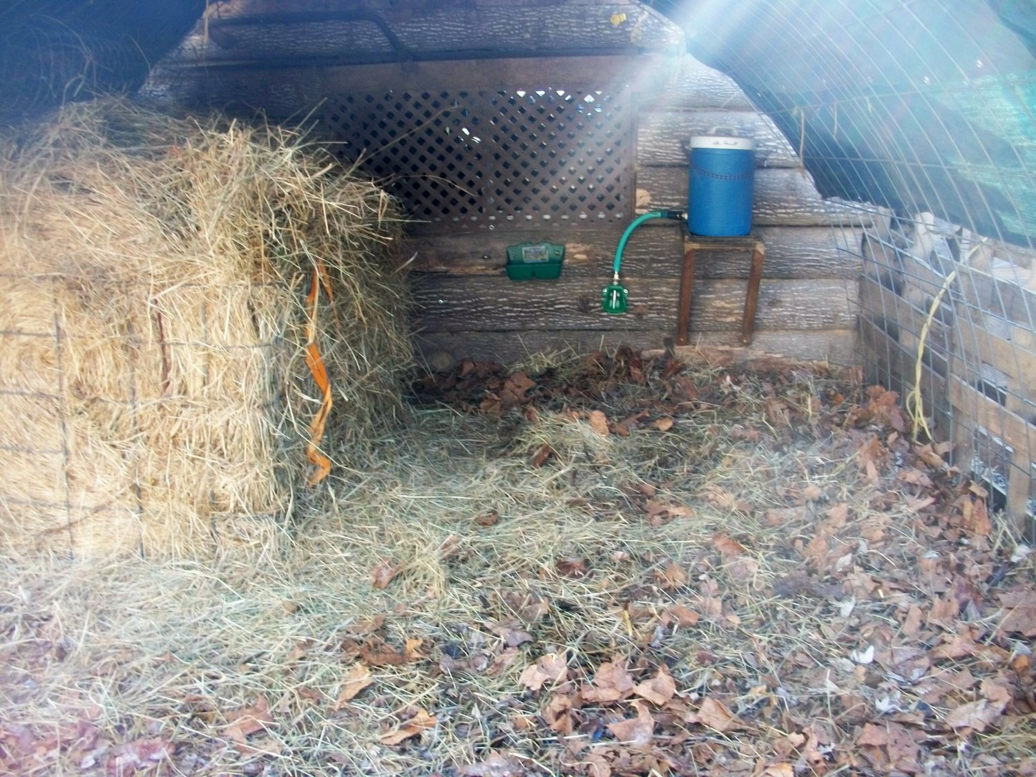 Deep litter for sheep... Page 7 BackYardHerds Goats, Horses