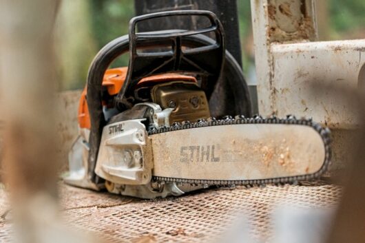 How To Determine Chainsaw Chain Size | Backyard Mike