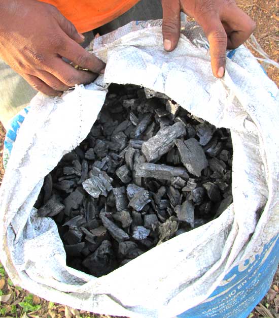 Charcoal for Garden Compost
