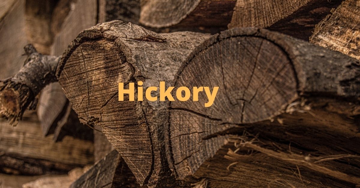 Is Hickory Good Firewood ? Step By Step Guide [Update 2023]
