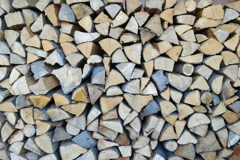 Is Apple Good Firewood Everything You Need To Know[2023]