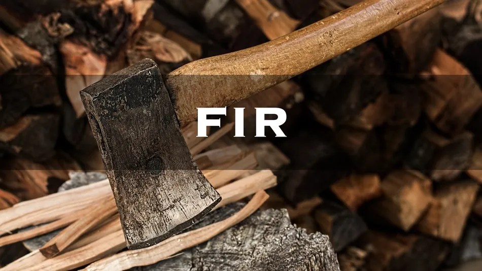 Is Fir Good Firewood?[2022] Everything You Need to Know![2023]