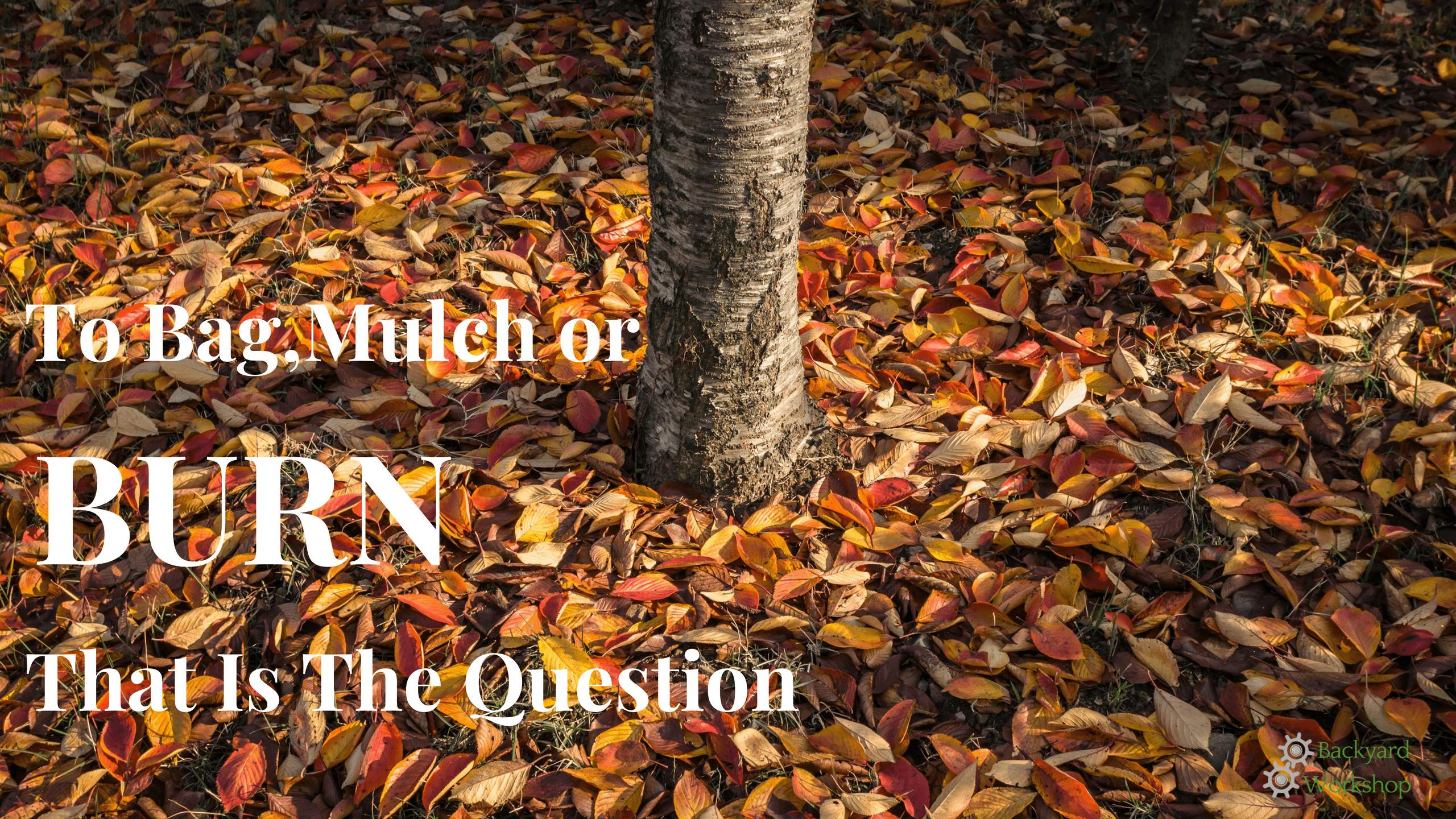 To Bag, Mulch or Burn (Leaves) That Is The Question