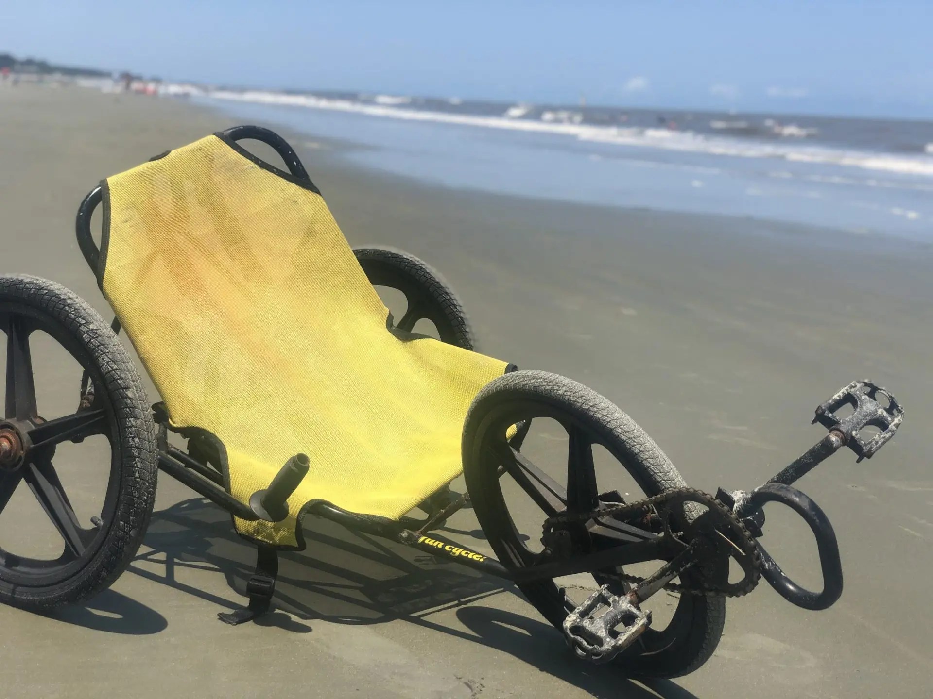 Once Upon a Time Mammals Called Humans Bacon on the Bookshelf