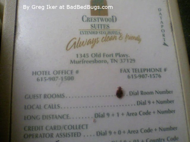 Bed Bug Complaint Registry pg4