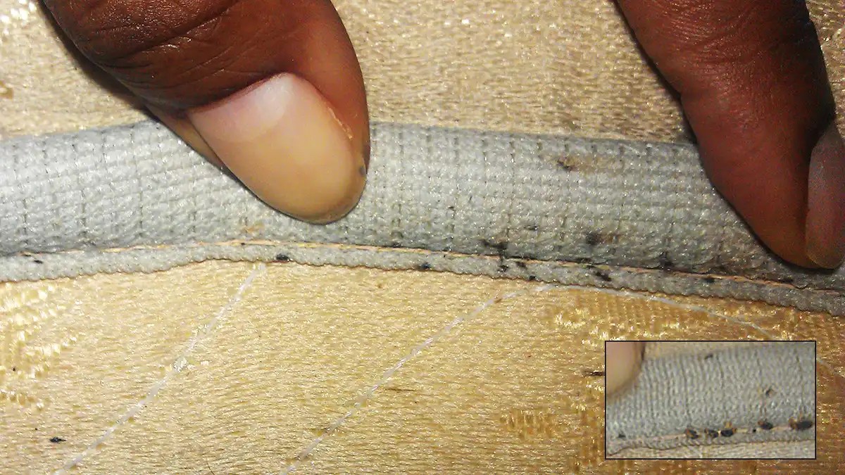 Bed Bug Mattress Cover Prevent Bugs from Getting In and Out