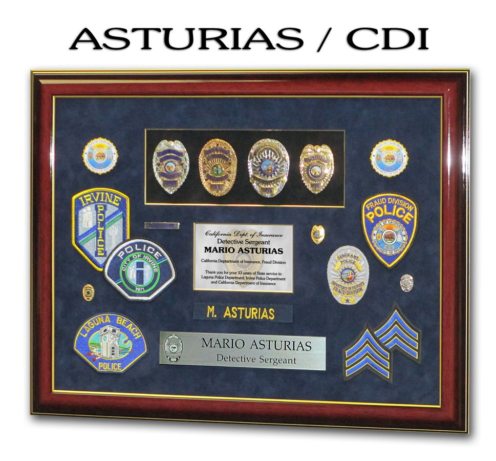 California Department of Insurance Framed Projects