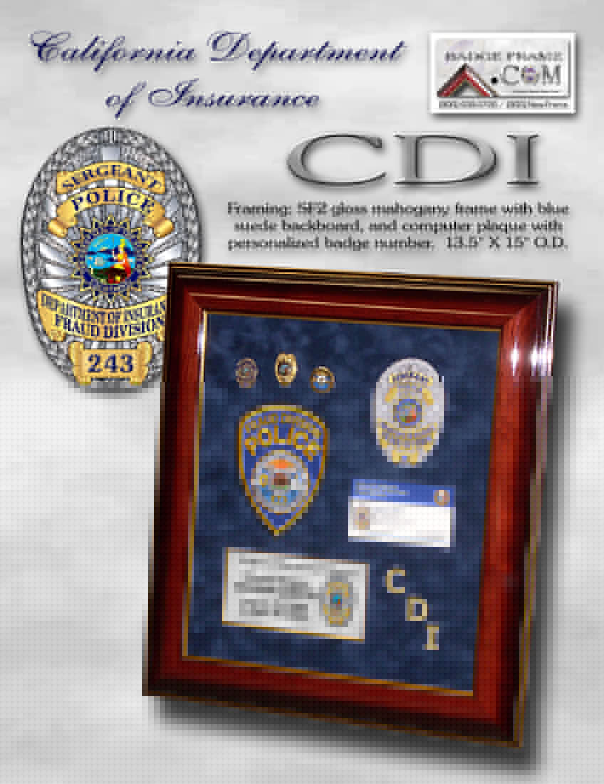 California Department of Insurance Framed Projects