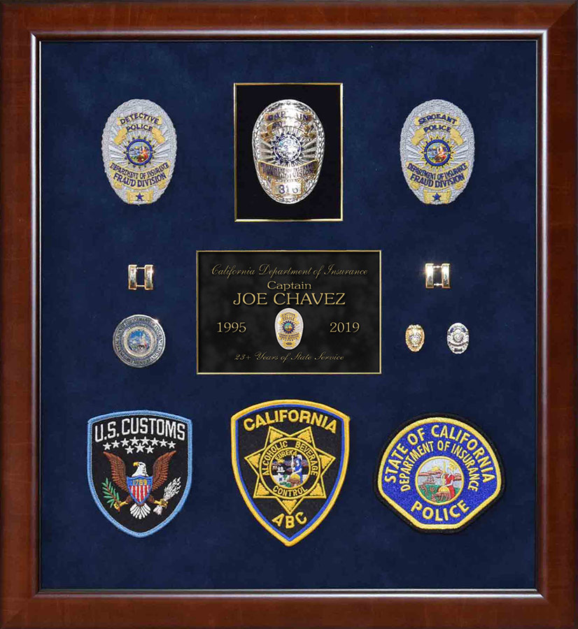 California Department of Insurance Framed Projects