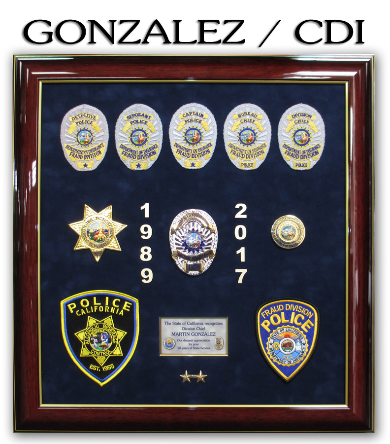 California Department of Insurance Framed Projects